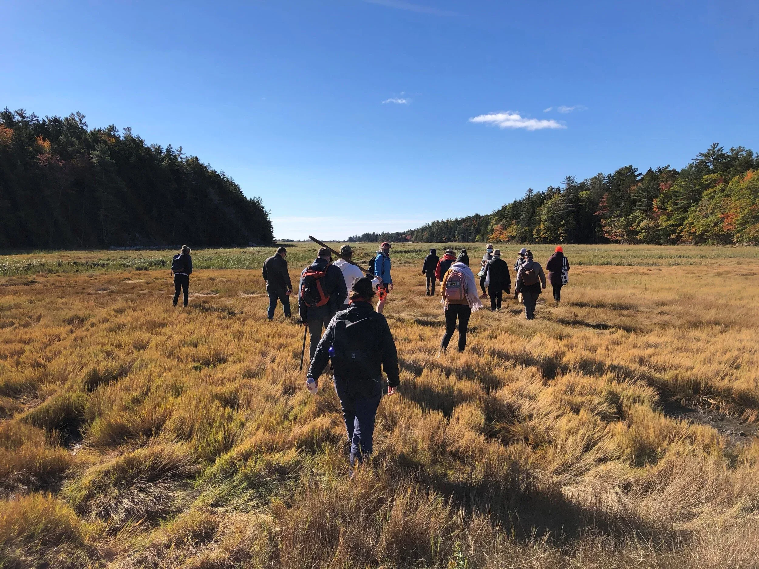 Julie Poitras Santos