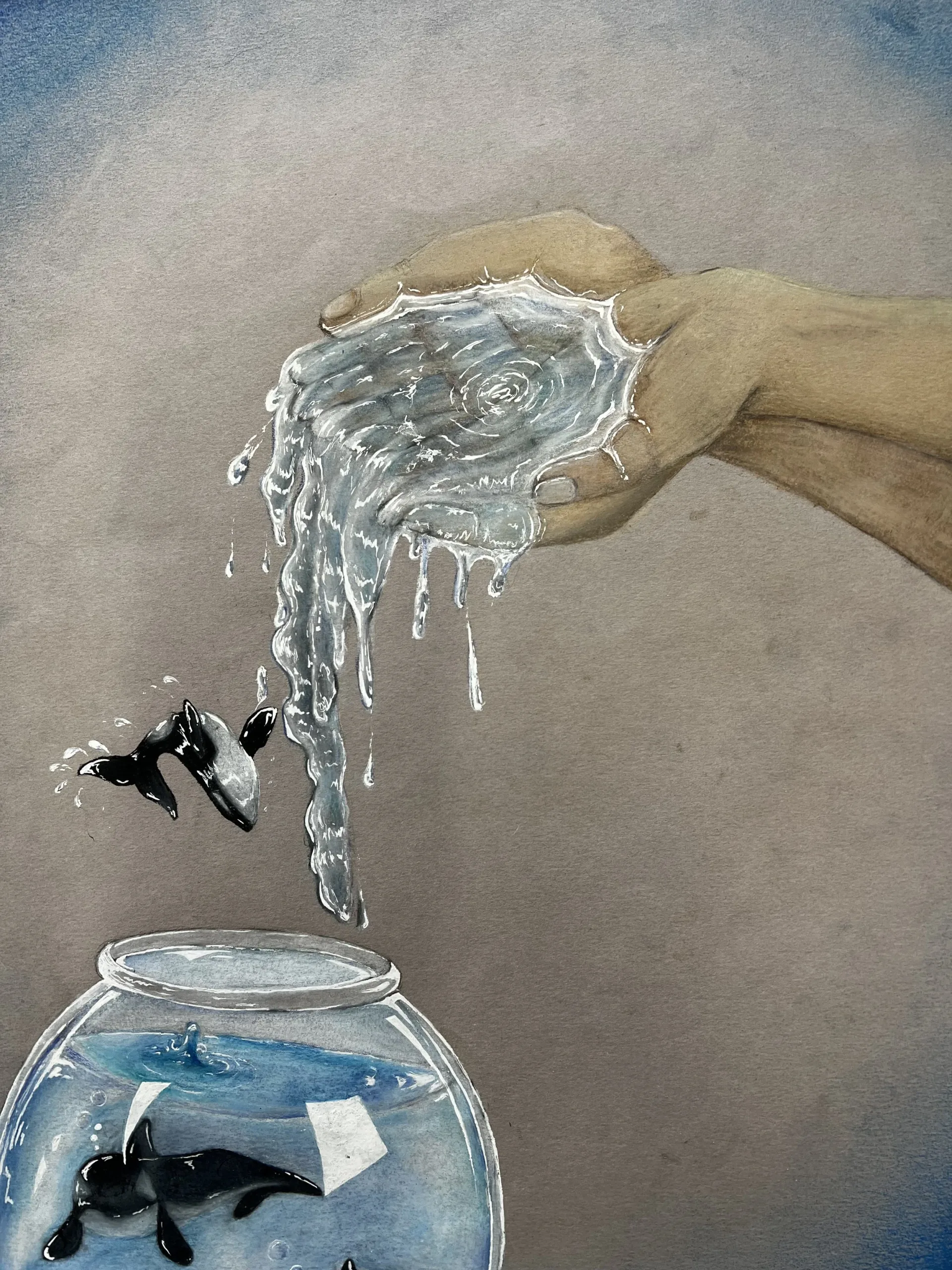 Deirdre Harte, Captivity