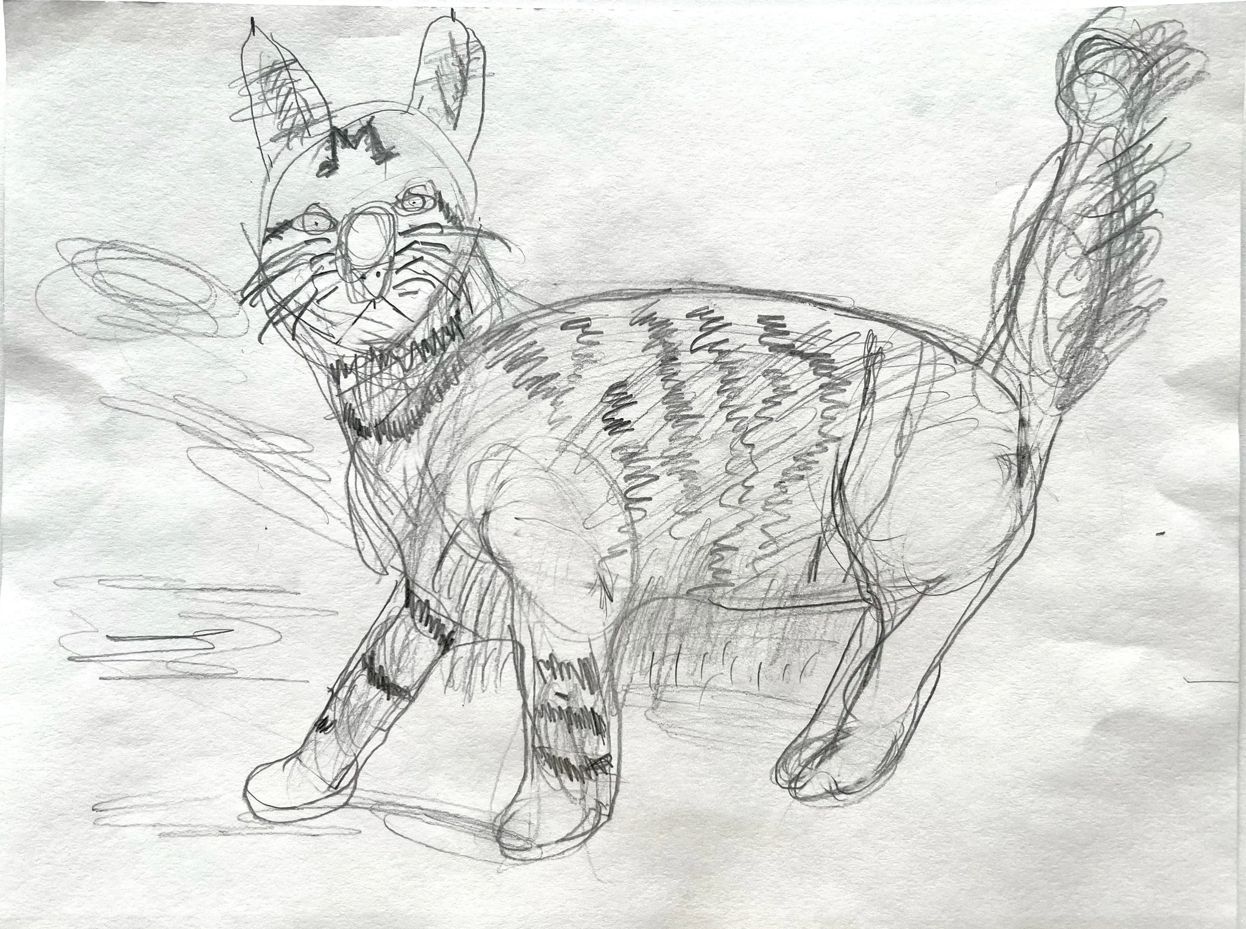 Brooke Archambault, 5th grade, Mixed media, watercolor, colored pencil, paper, Self Portrait , Biddeford Middle School, Teacher: Samara Yandell