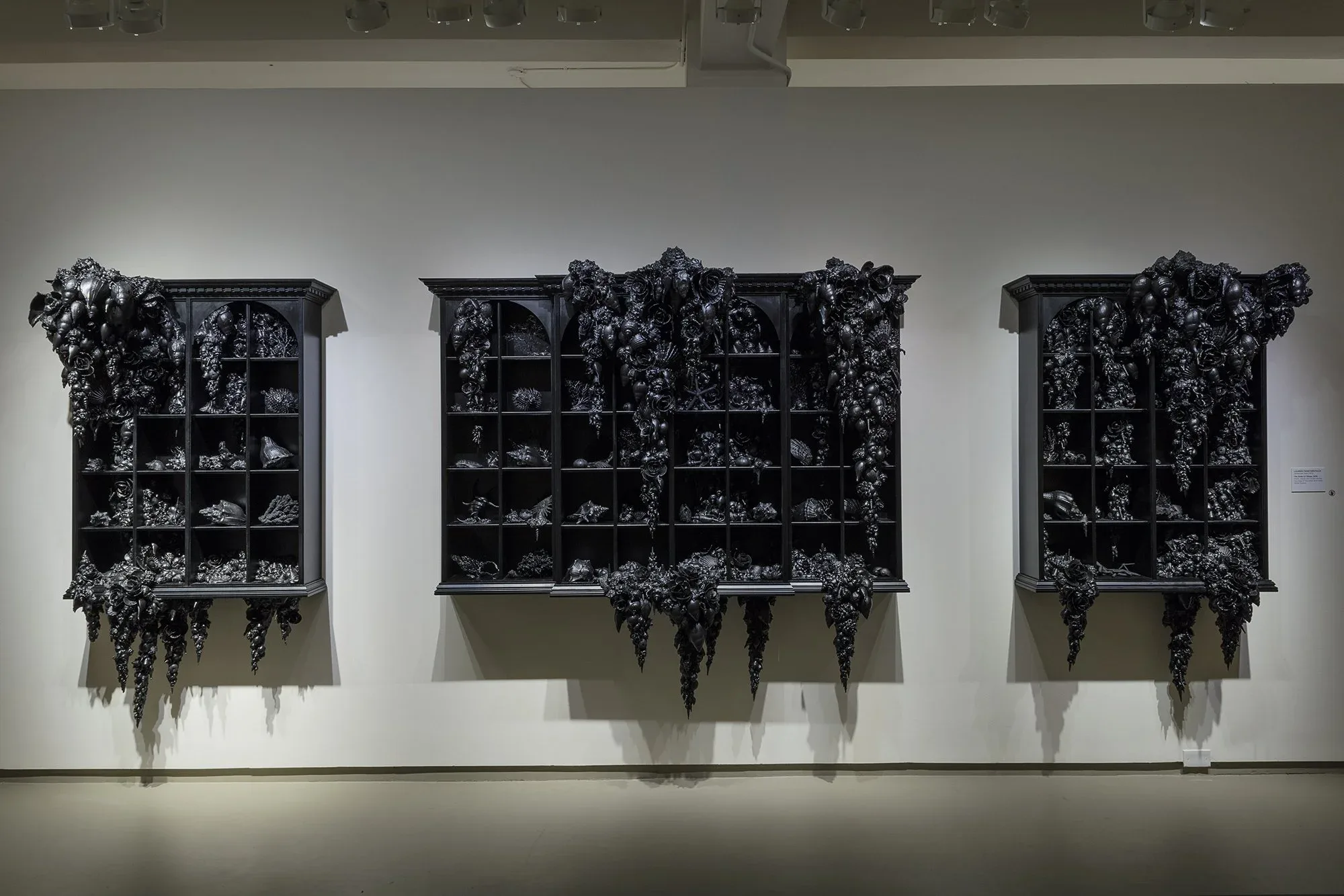 Lauren Fensterstock (United States, born 1975), The Order of Things , 2016, mixed media with shells, overall: 78 x 240 x 26 inches. Courtesy of the artist and Claire Oliver Gallery, NY. © Lauren Fensterstock