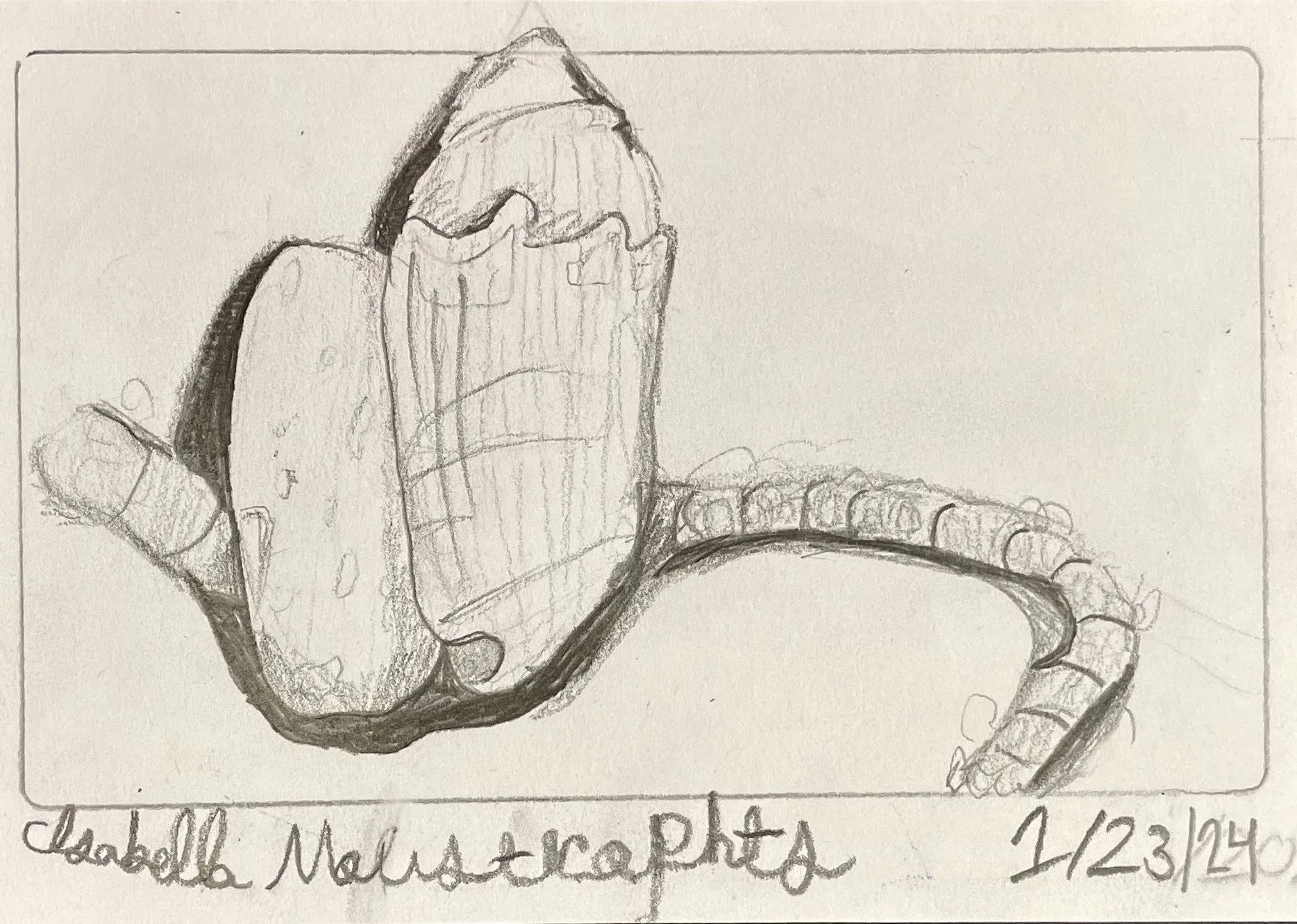  Brooke Archambault, 5th grade, Mixed media, watercolor, colored pencil, paper,  Self Portrait , Biddeford Middle School, Teacher: Samara Yandell 