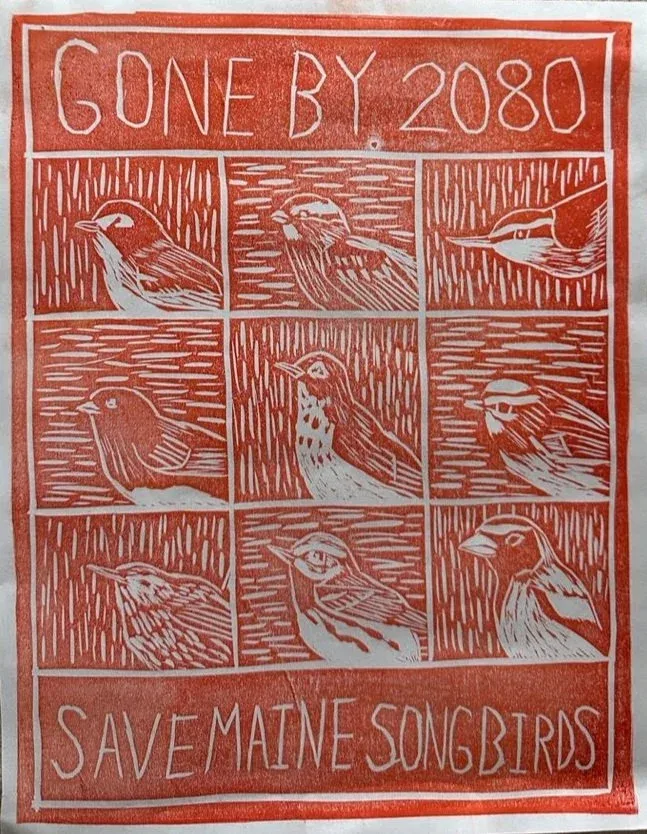 Bay Nadeau, SAVE MAINE SONGBIRDS