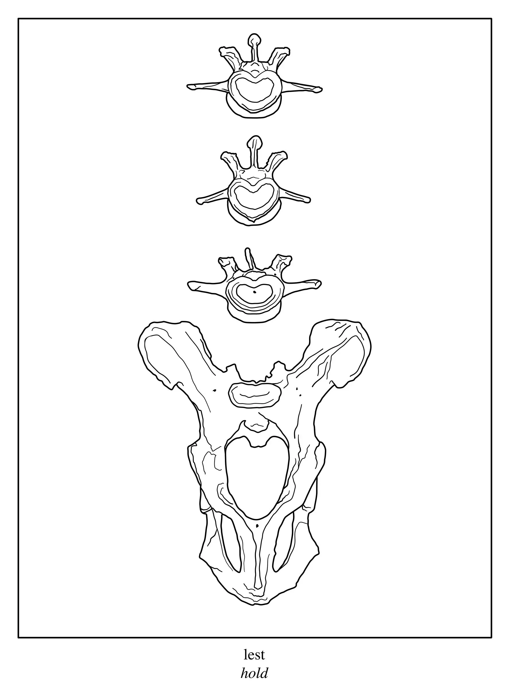  Snæbjörnsdóttir / Wilson
