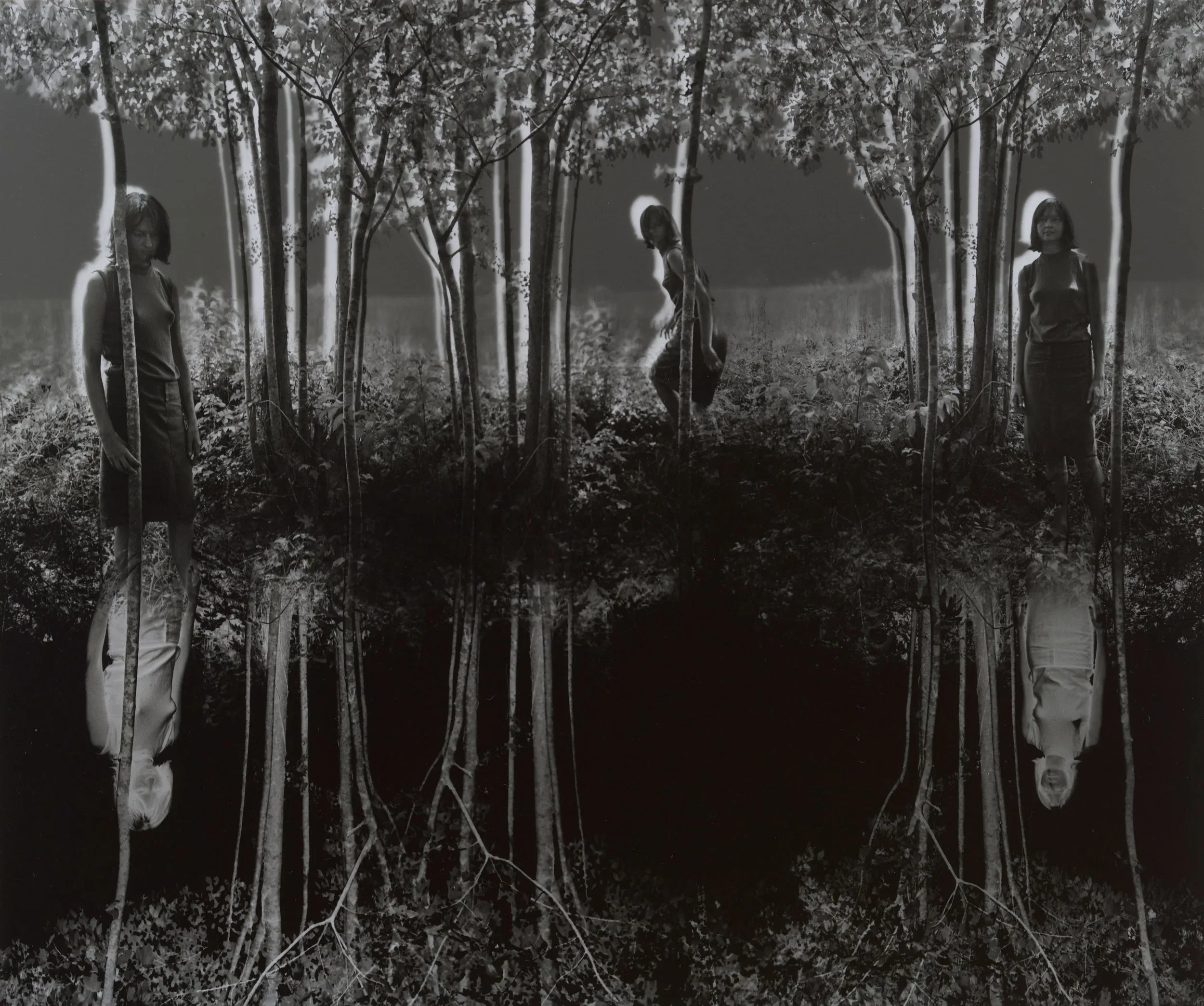 Jerry N. Uelsmann (United States, 1934–2022), Small Woods Where I Met Myself , 1967, gelatin silver print, 10 1/2 x 12 3/4 inches. Promised Gift from the Judy Glickman Lauder Collection, 11.2006.18. Image courtesy Luc Demers. © Jerry N. Uelsmann