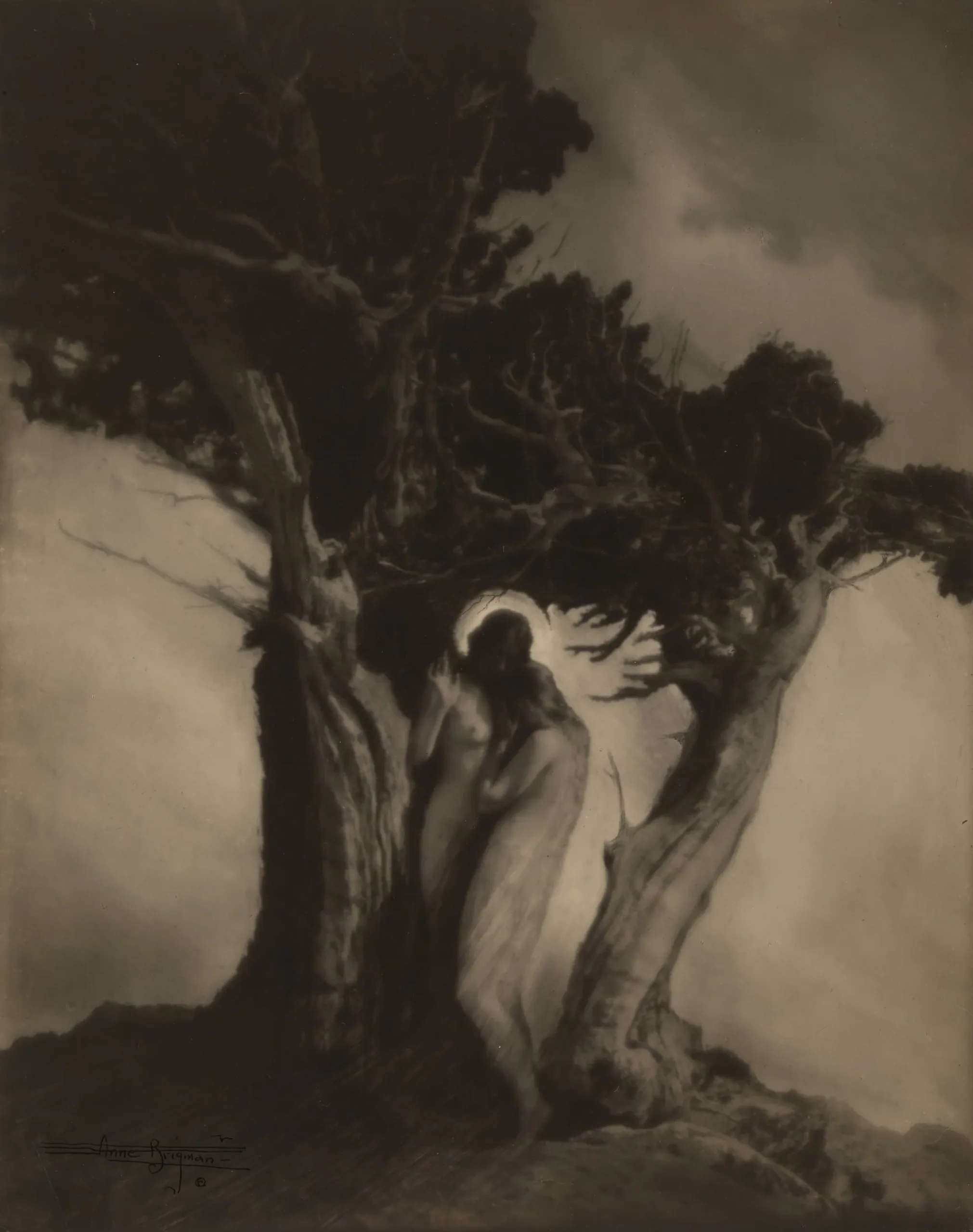 Anne Brigman (United States, 1869–1950), The Heart of the Storm, 1912, gelatin silver print, 9 3/4 x 7 3/4 inches. Portland Museum of Art, Maine, Promised Gift from the Judy Glickman Lauder Collection, 5.2016.1. Image courtesy Luc Demers.