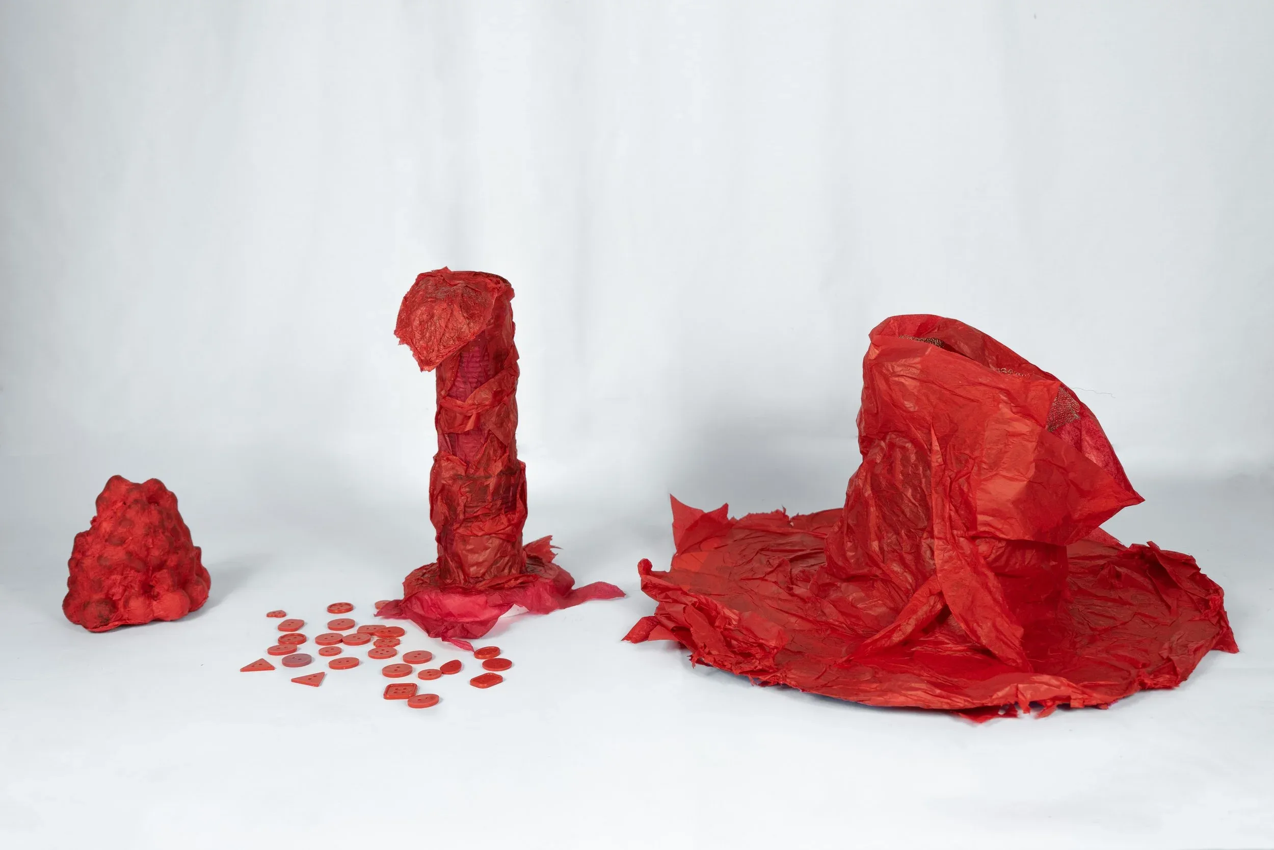 Bilisa Abdullahi, Phagophobia