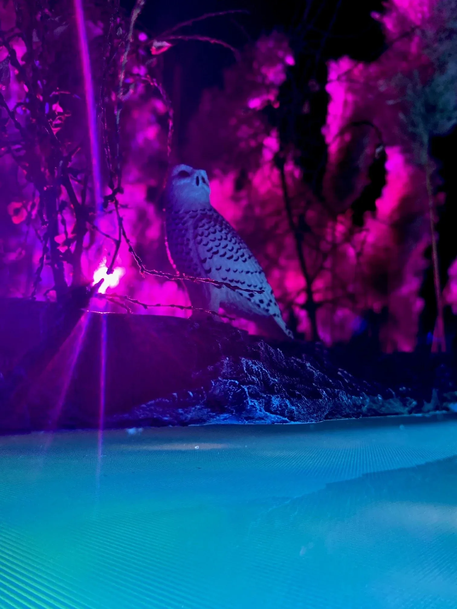 Jason Brown aka Firefly (Penobscot, born 1973), Wabanavia , 2022, still from multimedia experience, approximately 5 minutes. Courtesy of the artist. © Jason Brown