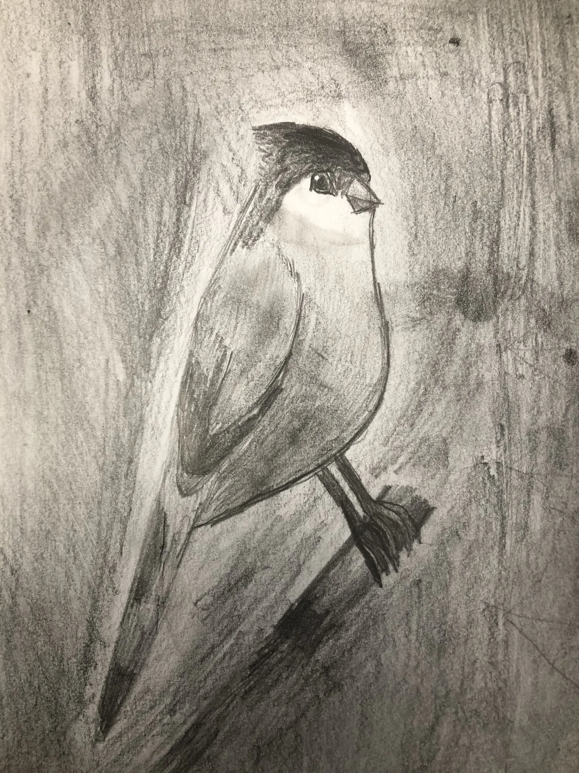 Brooke Archambault, 5th grade, Mixed media, watercolor, colored pencil, paper, Self Portrait , Biddeford Middle School, Teacher: Samara Yandell