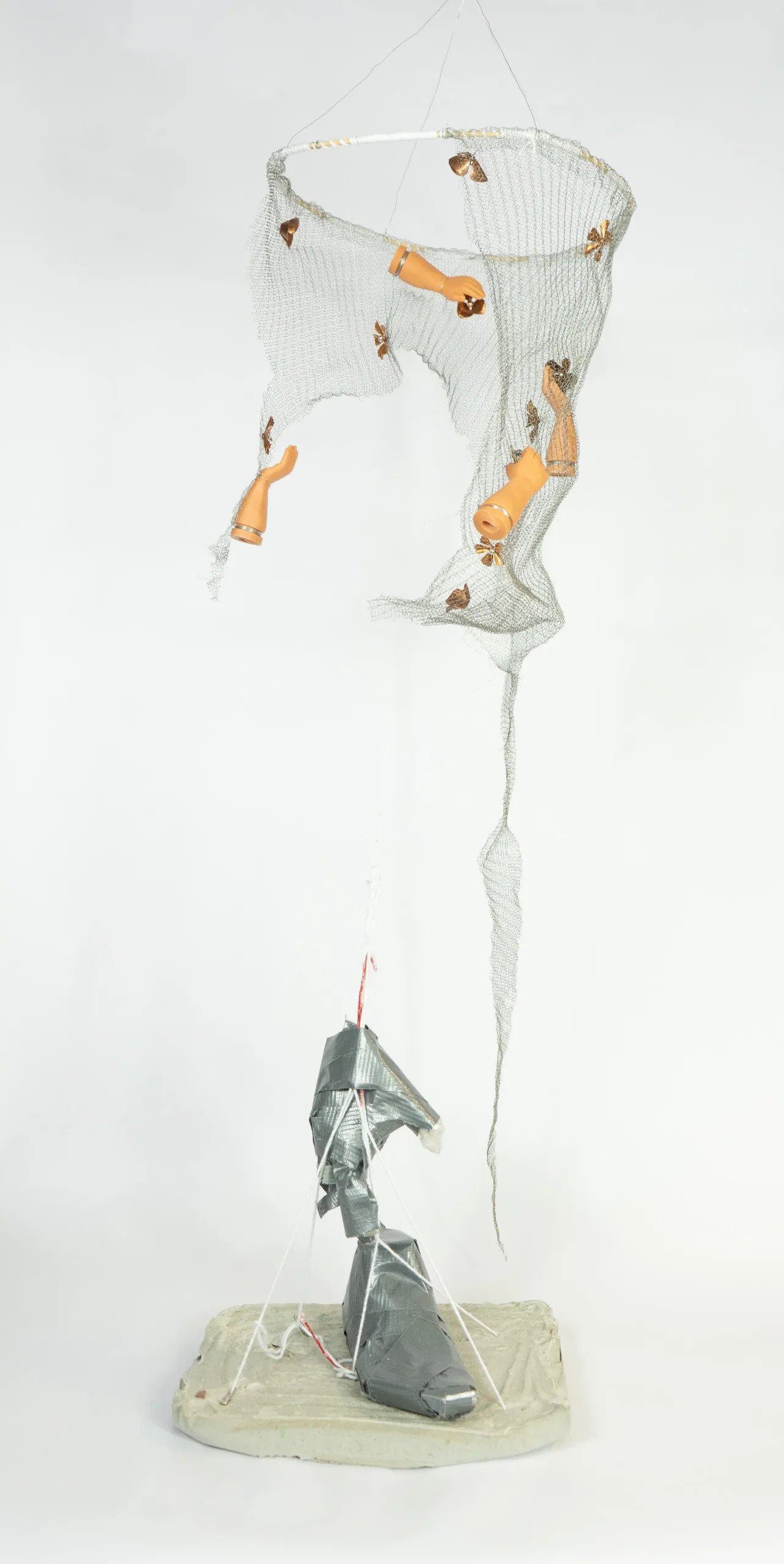 Isabella Tarkinson, Elementary