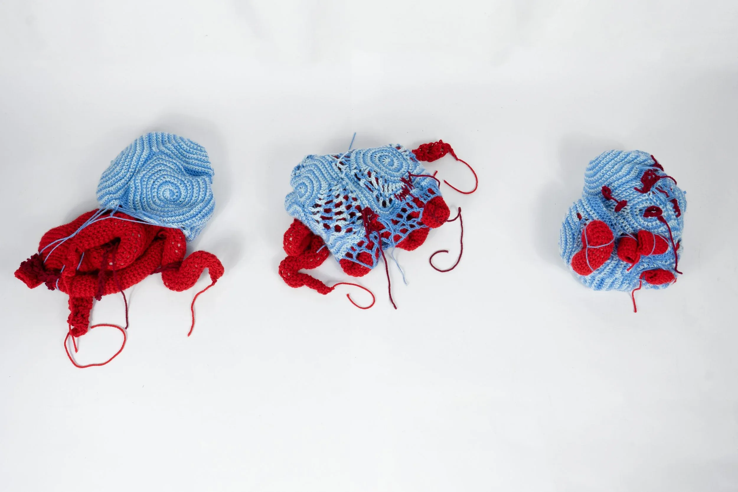 Jesseca Kelsey, The spoiled cocoon