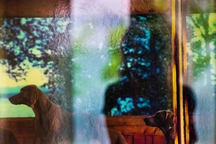 “Maine, 2016” Photo by Judy Glickman Lauder/courtesy of Maine Jewish Museum