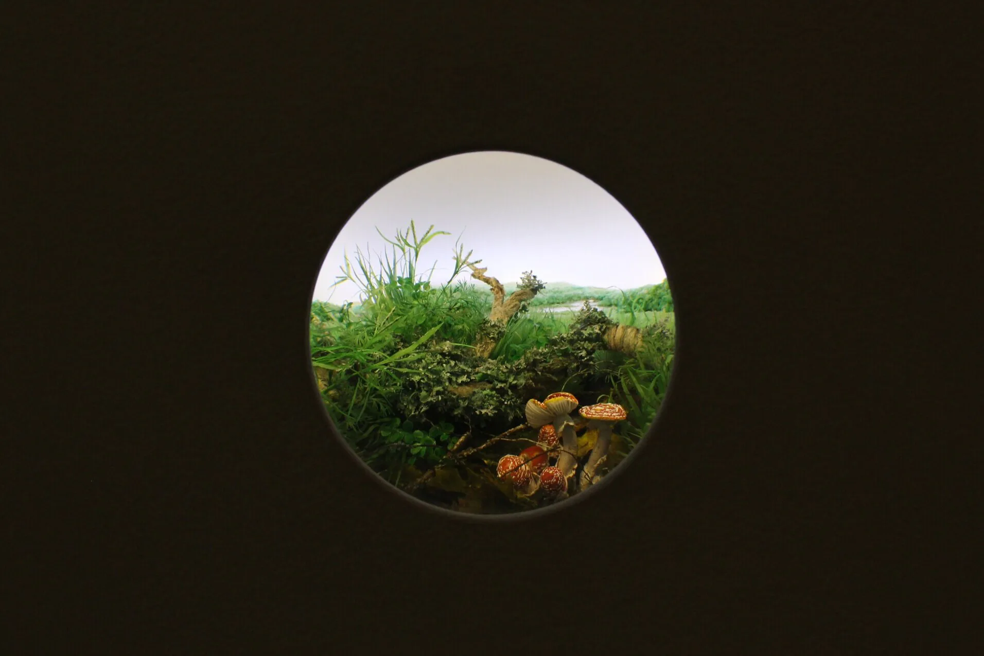   Fly Agaric Mushroom Cluster with Branch and Lichen , 2016, styrene, acrylic, cast neoprene, paper, hair, polyurethane foam, ash, talc, starch, acrylite, vinyl film, copper, wood, steel, lighting, BK7 glass, 11 7/8 x 16 1/2 x 10 1/4 inches. Museum purchase with support from the Friends of the Collection, 2016.12 