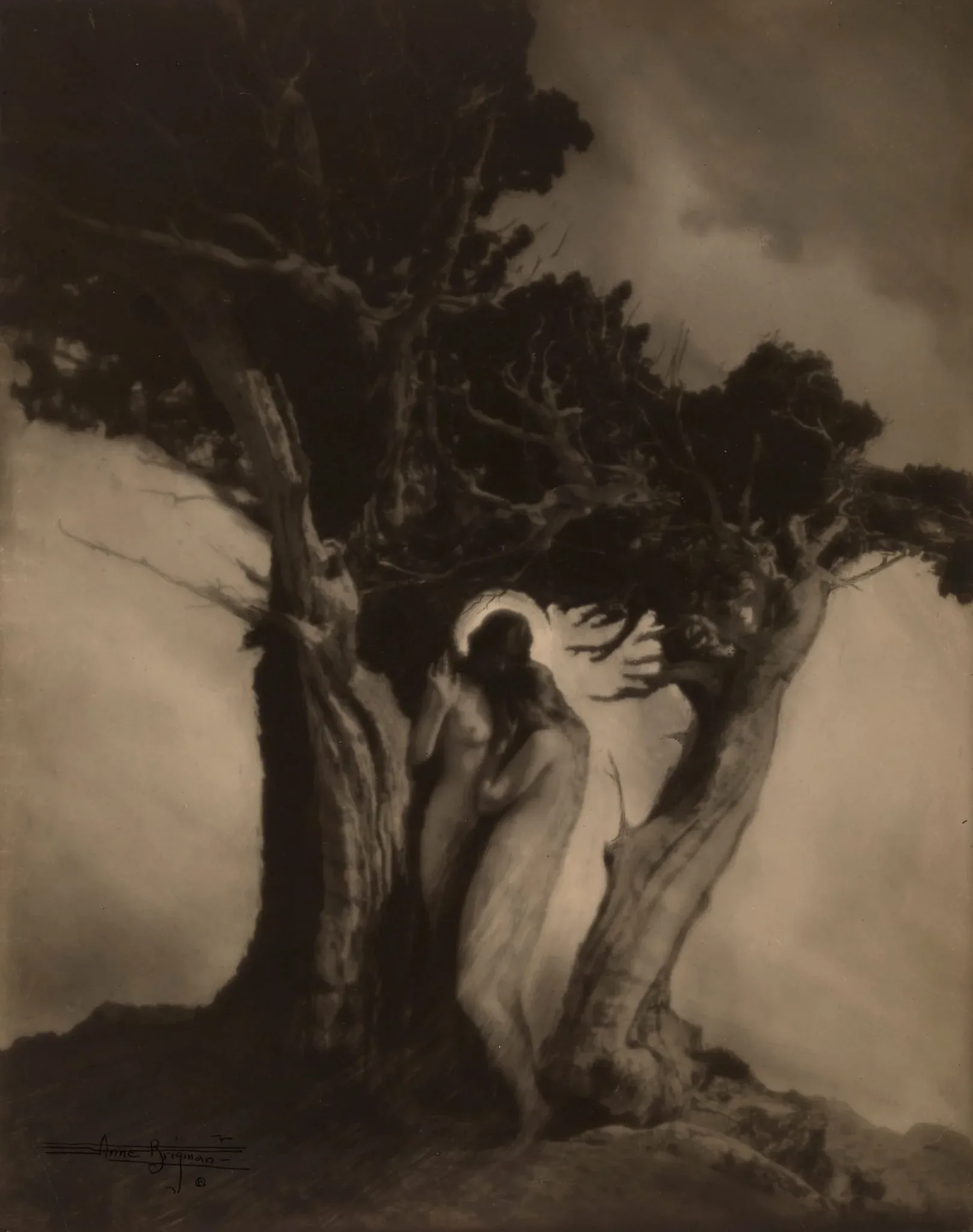 Anne Brigman, The Heart of the Storm (1912). Image courtesy Luc Demers. Courtesy of Judy Glickman Lauder.